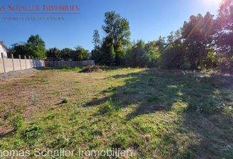 Sicht ins Grundstück