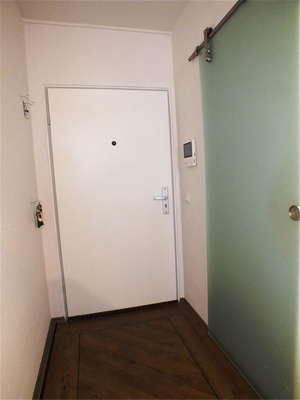 Wohnungs Eingangstür