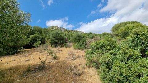 Casares Grundstücke, Casares Grundstück kaufen