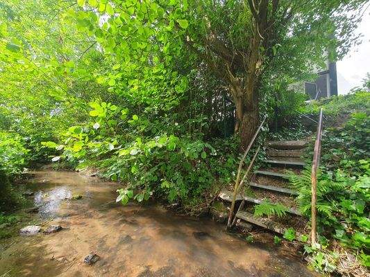 Bachlauf - Blick auf Terrasse