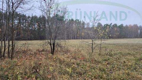 Banzendorf Bauernhöfe, Landwirtschaft, Banzendorf Forstwirtschaft