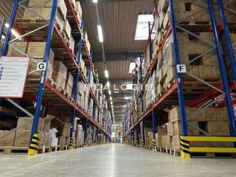 Garbsen Halle, Garbsen Hallenfläche