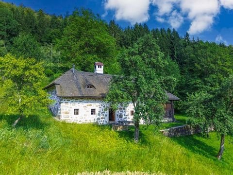 Schönau im Mühlkreis Häuser, Schönau im Mühlkreis Haus kaufen