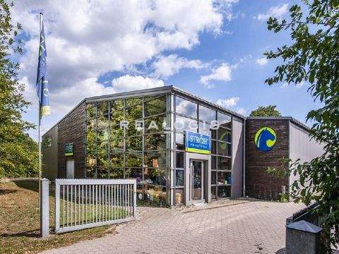 Hamburg Halle, Hamburg Hallenfläche