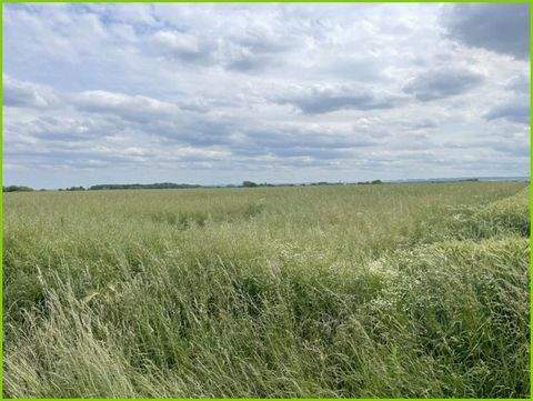 Hamm / Osterflierich Bauernhöfe, Landwirtschaft, Hamm / Osterflierich Forstwirtschaft