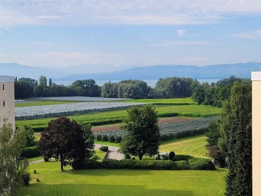 Aussicht vom Balkon