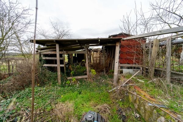 Außenansicht + Garten