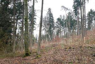 Blick Berg auf nach Osten