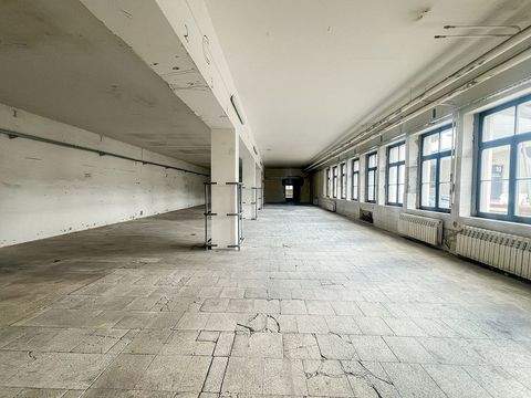 Dresden Halle, Dresden Hallenfläche