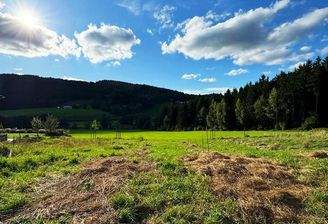 Tolle Lage