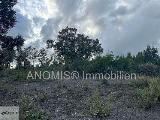 Grundstück 8 ha