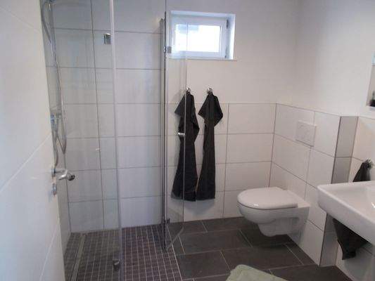 Das moderne Duschbad (2).JPG