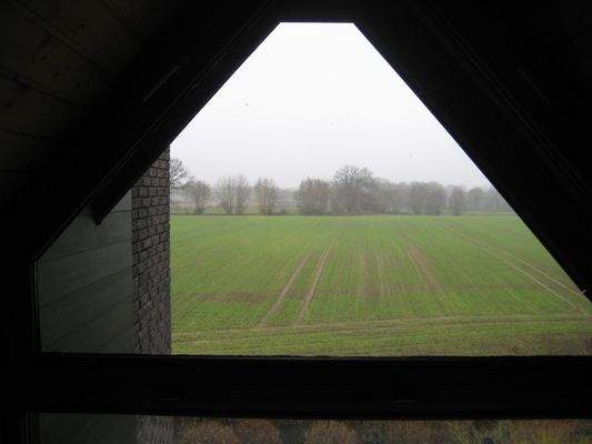 Blick aus dem Spitzboden