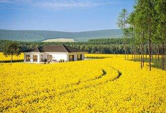 so kann Zuhause sein