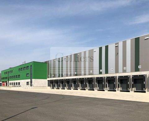 Bremen Halle, Bremen Hallenfläche