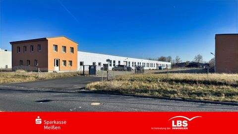 Großenhain Halle, Großenhain Hallenfläche