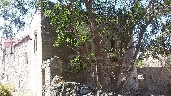 Entfalten Sie das volle Potenzial