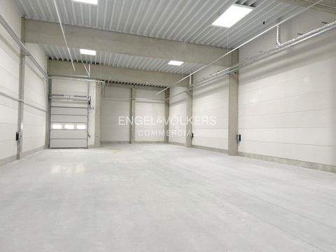 Berlin Halle, Berlin Hallenfläche