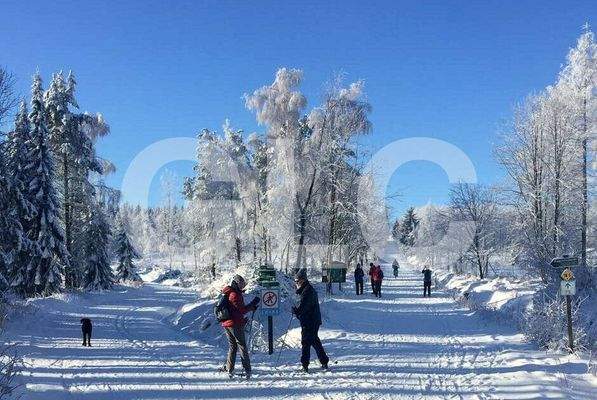 Neuschnee in Altenberg