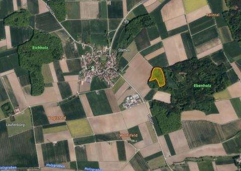 Gunzenhausen Bauernhöfe, Landwirtschaft, Gunzenhausen Forstwirtschaft