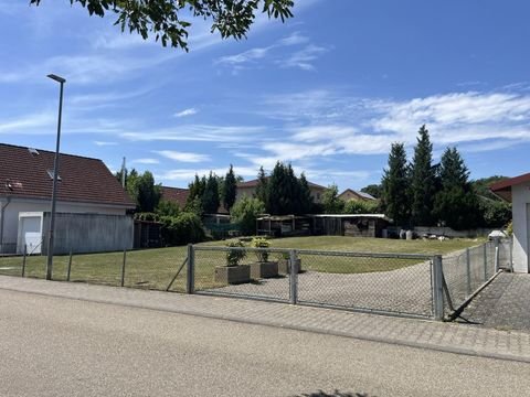 Eppingen-Elsenz Grundstücke, Eppingen-Elsenz Grundstück kaufen