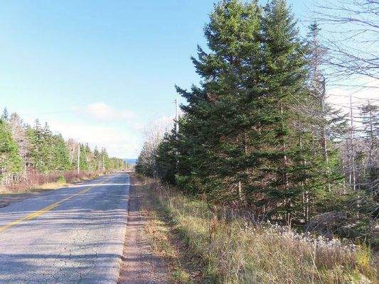 Cape Breton - Bras d`Or Lake - 18-Hektar-Areal in 