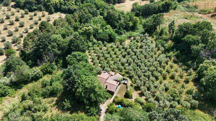 Anwesen mit Olivenhain