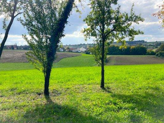 Ausblick Richtung Painten