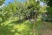 Gartenbereich hinter dem Haus