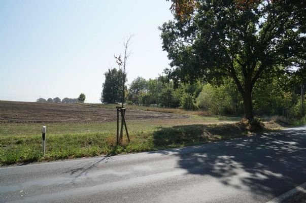 Grundstück mit Auffahrt rechts vom Baum 
