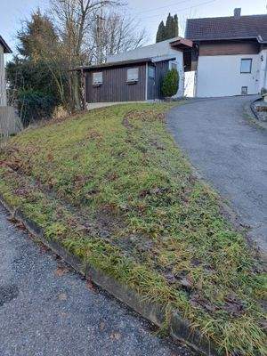 Wiese mit Gartenhaus