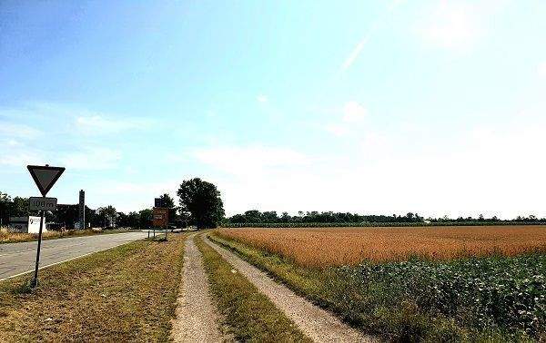 5364 Ackerfläche mit Blick nach Osten entlang der 