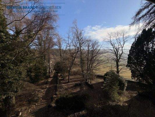 Aussicht vom Balkon OG