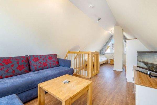 Geräumiger Wohn- und Schlafbereich mit Fernseher