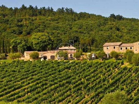 Bezauberndes Anwesen | Montalcino