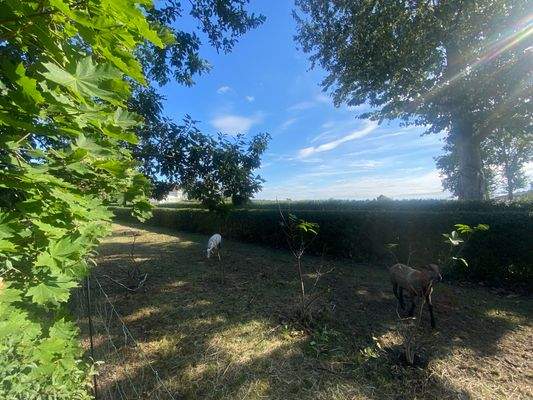 mit unverbaubarer Sicht