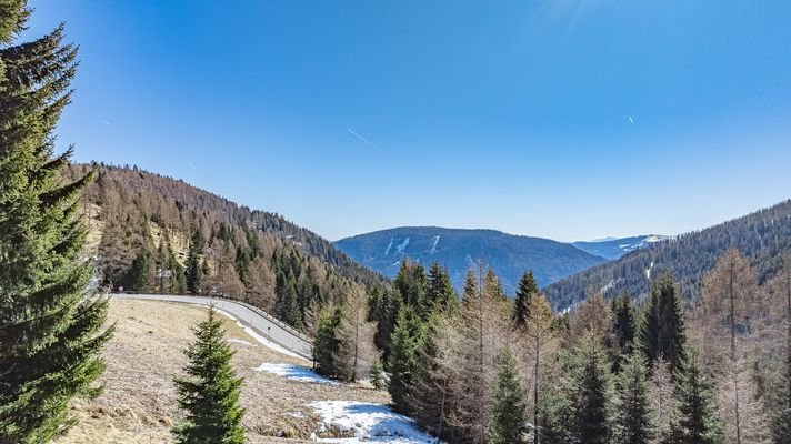 KITZIMMO-exklusives Almchalet 1 in Toplage kaufen - Immobilien Falkertsee Kärnten.