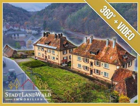 Schönau (Pfalz) Renditeobjekte, Mehrfamilienhäuser, Geschäftshäuser, Kapitalanlage