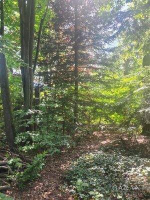 Ausschnitt Grundstück