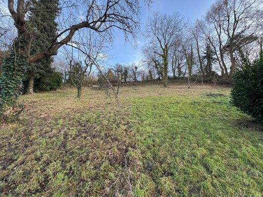 oberer Gartenbereich.JPG