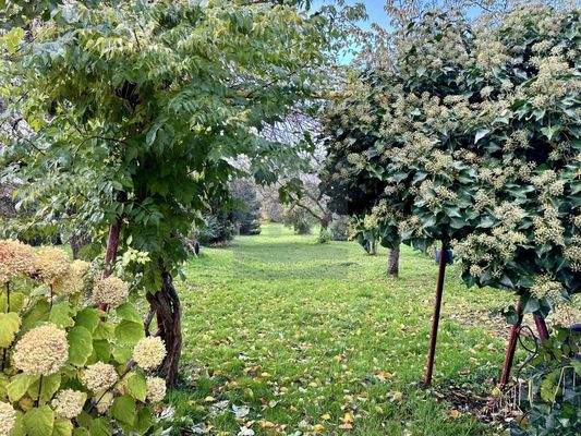 Landwirtschaftliche Fläche