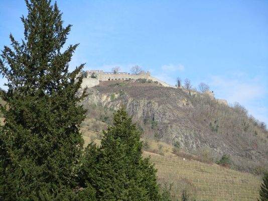 Blick auf Hohentwiel