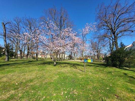 Park mit Spielplatz hinter dem Haus