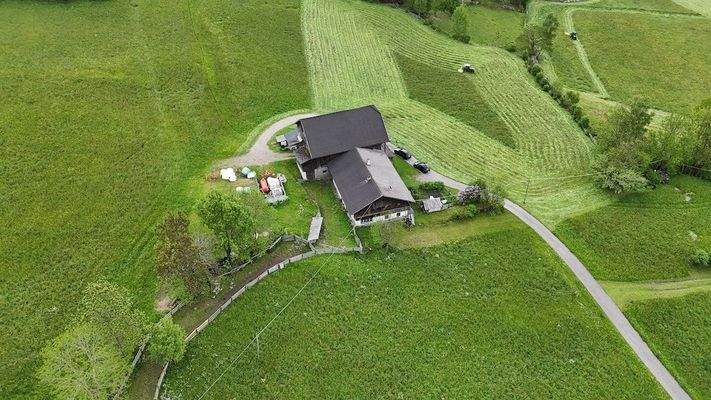Hof_Antholz_Wald_Alpenwiese_ruhig_Natur_Dolomiten_Südtirol