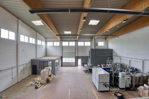 Ritterhude Halle, Ritterhude Hallenfläche