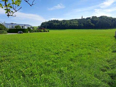 Köstendorf Grundstücke, Köstendorf Grundstück kaufen