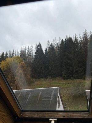 WhatsApp Image 2025-11-15 at 11.54.51 (1)