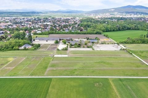 Kottingbrunn Häuser, Kottingbrunn Haus kaufen