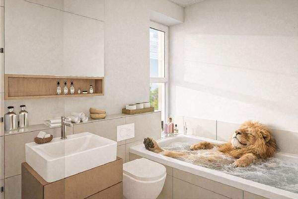 Lapinou Wellness für den Löwen