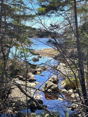 Bachmündung in den Fjord